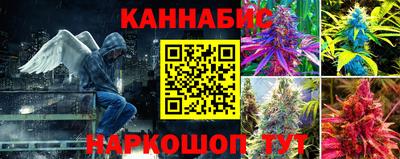 ПСИЛОЦИБИНОВЫЕ ГРИБЫ Новодвинск