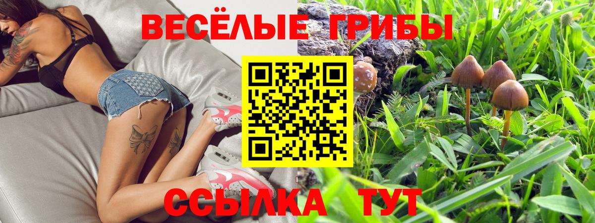 наркота  Вход с VPN  Шелехов  Псилоцибиновые грибы MAGIC MUSHROOMS  Галлюциногенные грибы мухоморы 