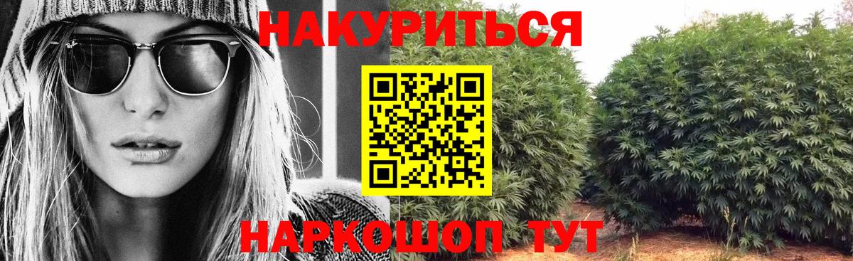 Шишки марихуана ГИДРОПОН  Бошки марихуана тримм  Вход с VPN  Шелехов  Марихуана индика  Конопля планчик 